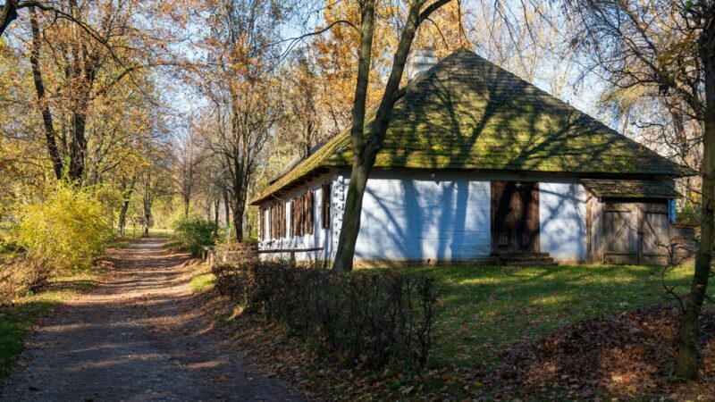 hur man tar bort mossa från tak